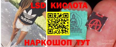 mdpv Славгород