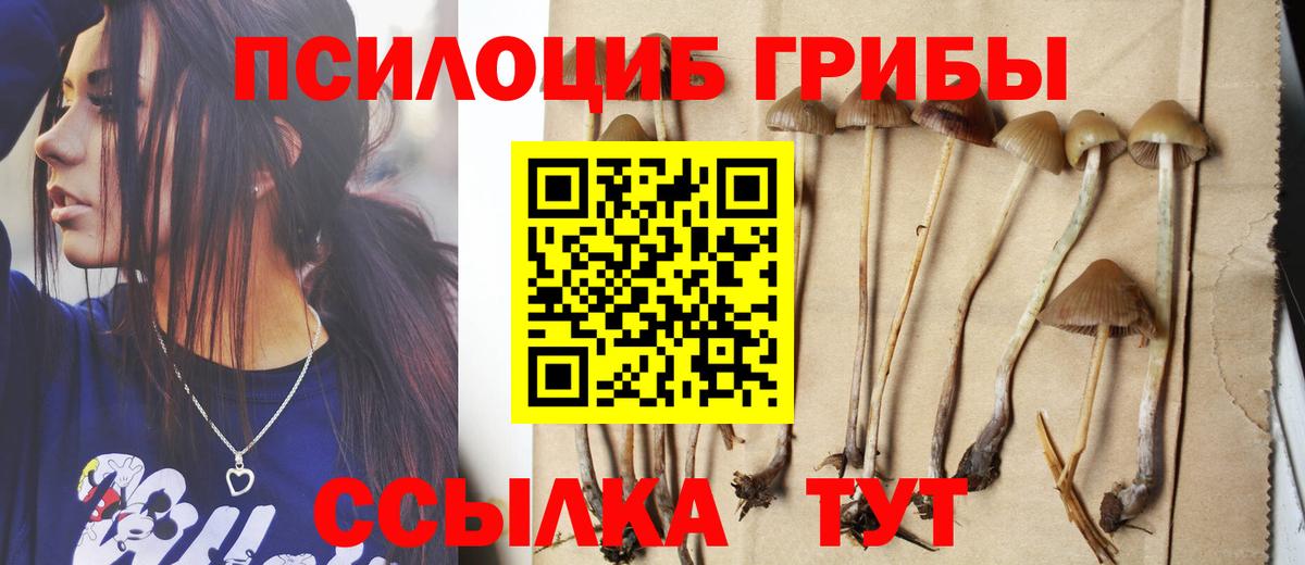 Галлюциногенные грибы MAGIC MUSHROOMS Бор
